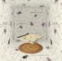Angels and Insects - CD - Preview