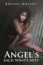 Angel'S Back: What'S Next - Preview