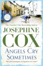 Angels Cry Sometimes - Preview