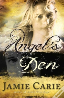 Capa do artigo Angel'S Den