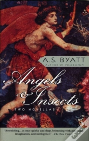 Capa do artigo Angels & Insects