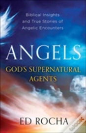 Capa do artigo Angels