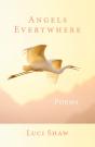 Angels Everywhere - Preview