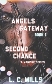 Angels Gateway, Book 1: Second Chance