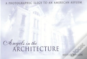 Capa do artigo Angels In The Architecture
