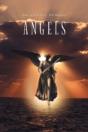 Angels - Preview