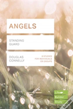 Capa do artigo Angels (Lifebuilder Study Guides)