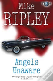 Capa do artigo Angels Unaware