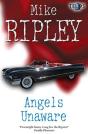 Angels Unaware - Preview