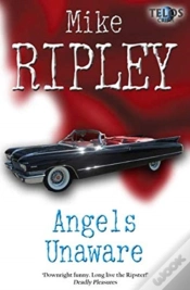 Capa do artigo Angels Unaware