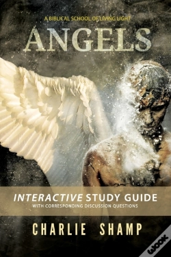 Capa do artigo Angels Workbook