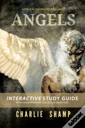 Capa do artigo Angels Workbook
