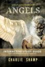 Angels Workbook - Preview