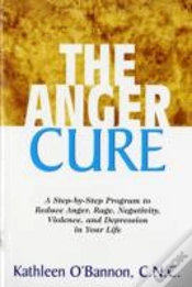 Capa do artigo Anger Cure