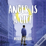Capa do artigo Anger Is A Gift