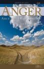 Anger (Pack Of 5) - Preview