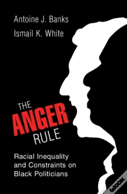Capa do artigo Anger Rule