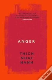 Capa do artigo Anger