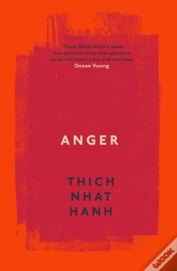 Capa do artigo Anger