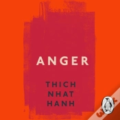 Capa do artigo Anger