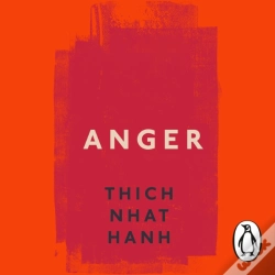 Capa do artigo Anger