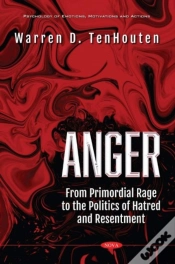 Capa do artigo Anger