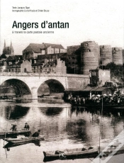 Capa do artigo Angers D