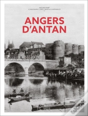 Capa do artigo Angers D