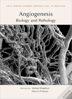 Capa do artigo Angiogenesis