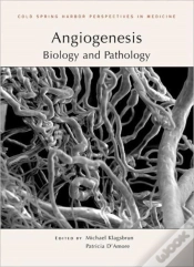 Capa do artigo Angiogenesis