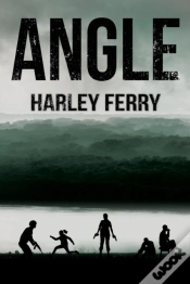 Capa do artigo Angle