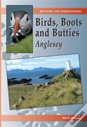 Capa do artigo Anglesey