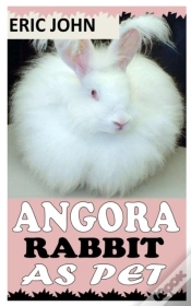 Capa do artigo Angora Rabbit As Pet