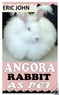 Capa do artigo Angora Rabbit As Pet