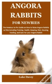Angora Rabbits For Newbies