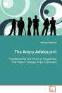 Angry Adolescent - Preview
