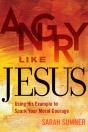 Angry Like Jesus - Preview