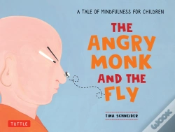 Capa do artigo Angry Monk And The Fly