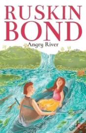 Capa do artigo Angry River