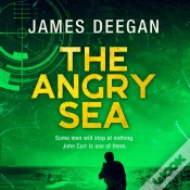 Capa do artigo Angry Sea