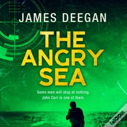 Capa do artigo Angry Sea