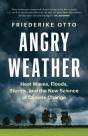 Angry Weather - Preview