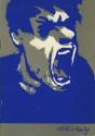 Anguille Crue - Preview