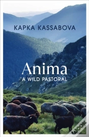 Capa do artigo Anima
