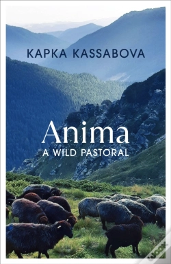 Capa do artigo Anima