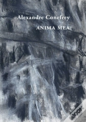 Capa do artigo Anima Mea