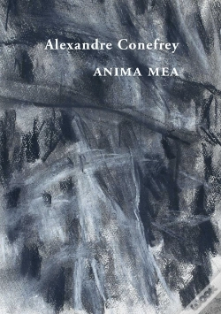 Capa do artigo Anima Mea