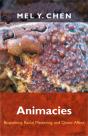 Animacies - Preview