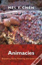 Animacies