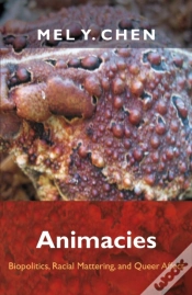 Capa do artigo Animacies